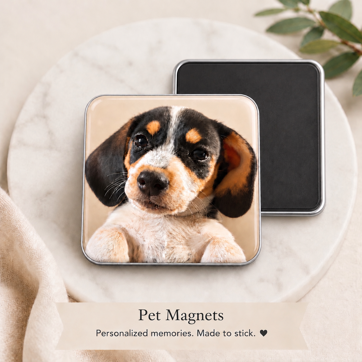 Pet Magnets